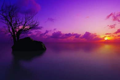 Nature Sunset And Lake Scenic Backgrounds Widescreen And HD ...