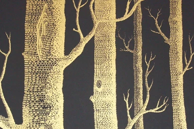 Papier Peint On Pinterest