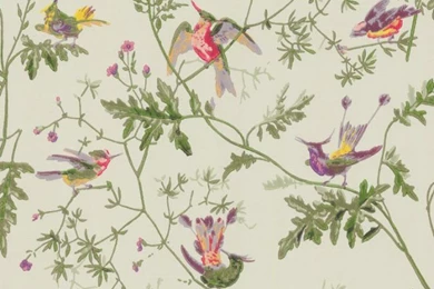 Hummingbirds wallpaper by cole son 1_2_4_2.jpg