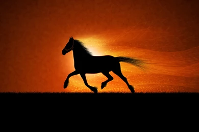 Download Running Horse Wallpapers