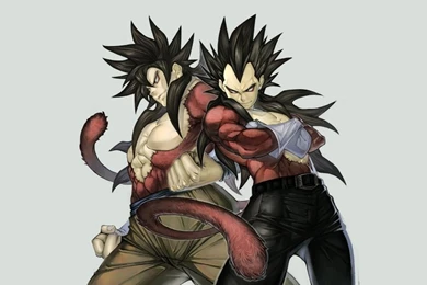 Goku,Vegeta Vegeta Goku Dragon Ball Z 1680x1050 Wallpapers ...