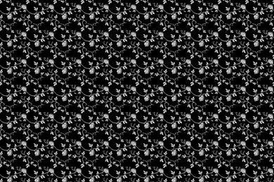 Black White Rose Desktop Wallpapers