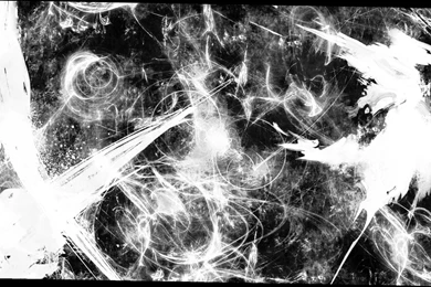 Black And White Roses Wallpapers   4 Items