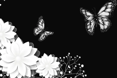 Black Rose Wallpaper Images   5 Items