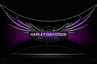 HARLEY LOGOS On Pinterest