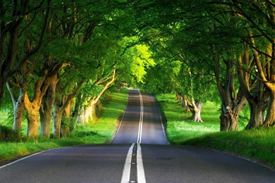 3D Moving Wallpapers   HD Great Images