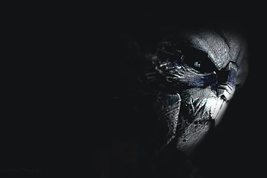 Garrus Wallpapers   Wallpapers Cave