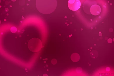 Top 14 Amazing ❤ Valentines Day Wallpapers 2014 ❤