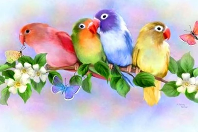 Butterfly Backgrounds For Desktop