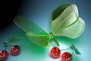 Wallpaper: Glass Butterfly Wallpapers