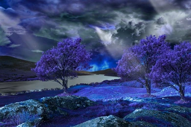 Global Pictures Gallery: Butterfly Desktop Wallpapers