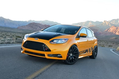 2014 Shelby Ford Focus ST Wallpapers
