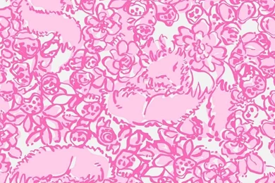 Lilly Pulitzer She's A Fox Iphone Wallpapers