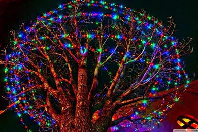 Holiday Backgrounds Wallpapers Green Holiday Backgrounds Hd ...