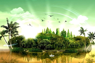 Trees HD Wallpapers 2015