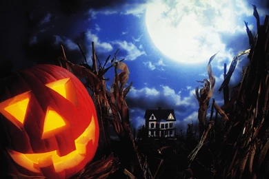 Halloween Pumpkin Lights Theme Wallpapers 10 － Holiday Wallpapers ...