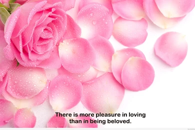 Love Quotes On Wallpapers 2015