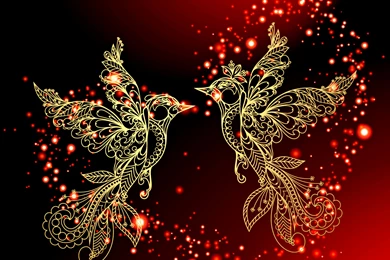 Love Birds Wallpapers