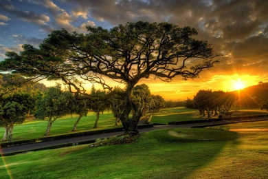 Wallpapers And Pictures,desktop Wallpapers