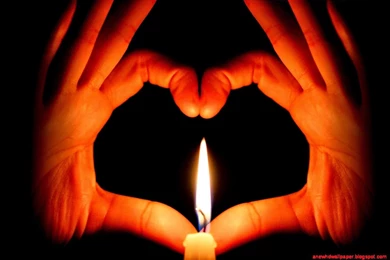 Latest Love Wallpapers Hd Download