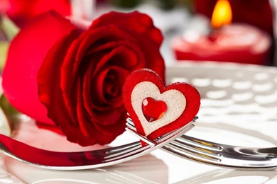 Image Of Love Rose HD Desktop Wallpapers Download Free 1920x1080 ...