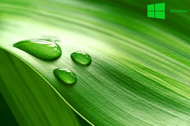 Download Windows 10 Desktop Backgrounds   Windows 10 Wallpapers