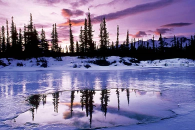 Microsoft Desktop Backgrounds Winter Scenes HD Wallpapers Desktop ...