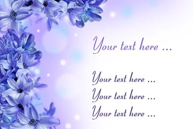 Lilac 29380   Flower Wallpapers   Flowers