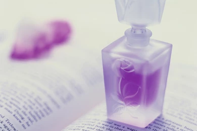 Lilac Spirits Wallpapers And Images Wallpapers, Pictures, Photos