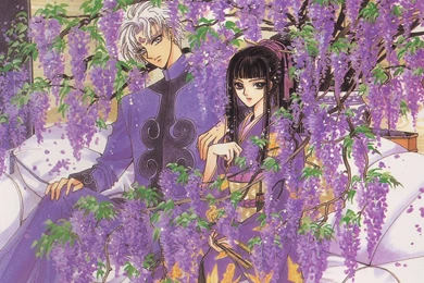 Arashi Lilac 1920×1200 Wallpapers 791213