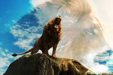 Image   Narnia 5 wallpaper hd aslan narnia by falconfliesalone on ...