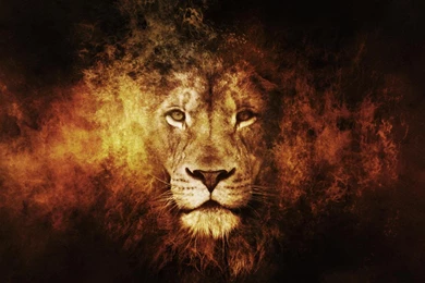 Fire King Artwork Lions Narnia Aslan Wallpapers
