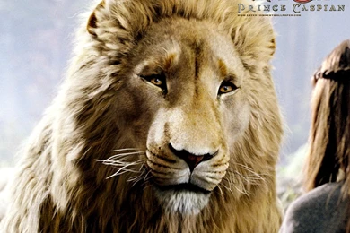 Chronicles Of Narnia Desktop Wallpapers