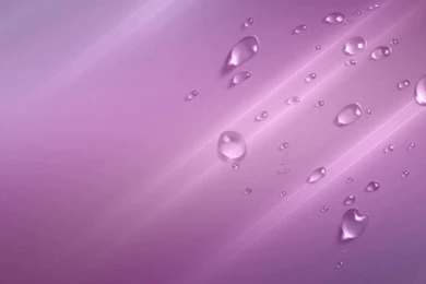 LILAC DROP WALLPAPER   (