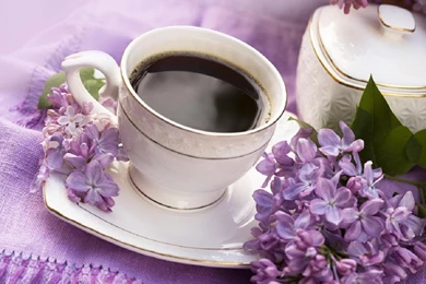 COFFEE AND LILAC WALLPAPER   (