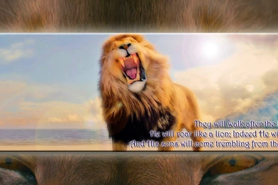 Wallpapers Roaring Lion Forums View Topic He Will Roar Like A ...