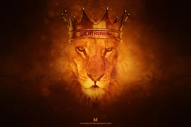Galatasaray Wallpapers