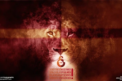 Galatasaray Aslan Wallpapers Hd