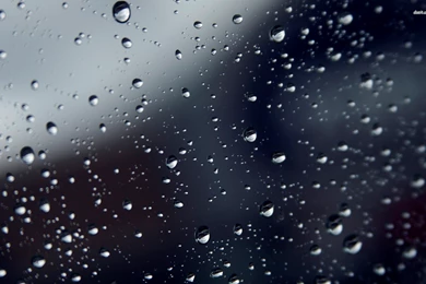 Rain Drops On The Grass Wallpapers