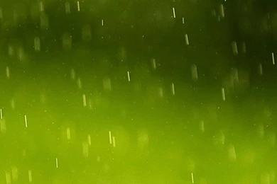 Green Rain Drops Wallpapers For Galaxy S6.jpg