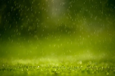 Top Raindrops Texture Hd Wallpapers