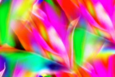 Colorful Pictures And Wallpapers