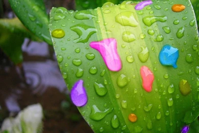 50 Shades Of COLOR! On Pinterest