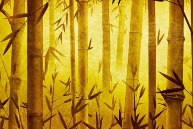 Bamboo Forest Wallpaper Images : Nature Wallpapers   Rakaruan.com