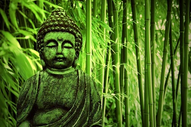 Buddha Bamboo Forest Wallpapers