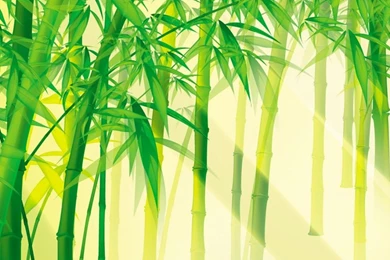Bamboo Forest Painting   Wallpaper.