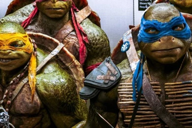 HD Crazy Honeymoon Ideas iPhone 6 Plus Backgrounds Download ...