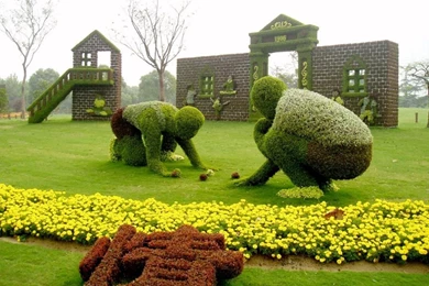 World Most Popular Garden Hd Wallpapers