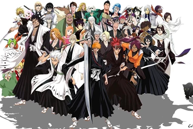 Bleach Wallpapers Collection (29+)