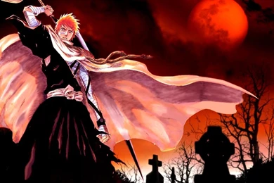 Bleach Wallpapers
